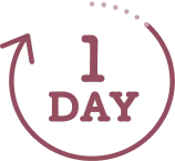1dayタイプ