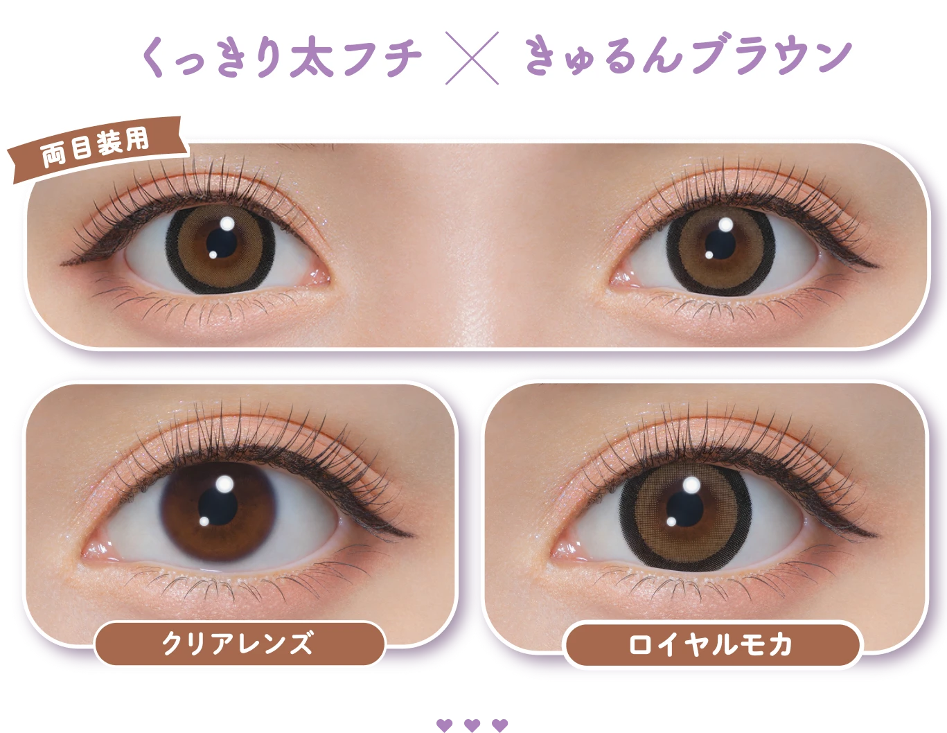 くっきり太フチ × きゅるんブラウン 両目装用 クリアレンズ ロイヤルモカ